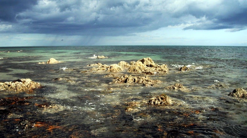 [1-DSCF3074%255B6%255D.jpg]