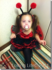 IMG_1965 IMG_1965