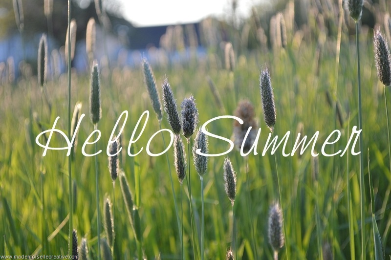 Hello Summer Hello Summer