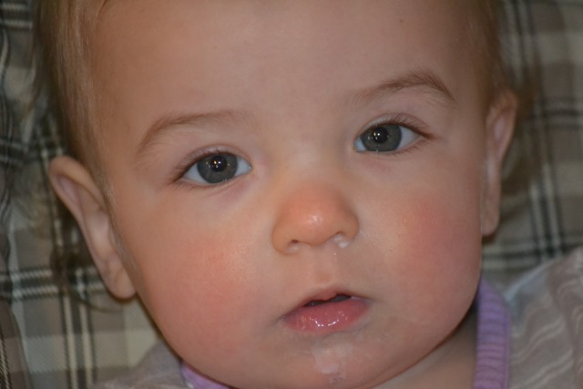 [DSC_7440%255B3%255D.jpg]