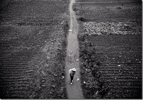 Lone Woman Walking: Hanoi, Vietnam