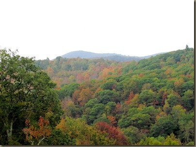 Near Graveyard Fields on Blue Ridge