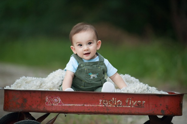 Image of boy in a red wagon. Used with permission on iHeartFaces.com. Image of boy in a red wagon. Used with permission on iHeartFaces.com.