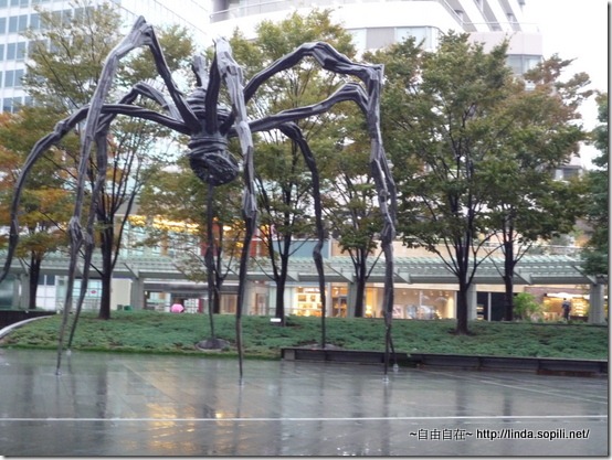 六本木-maman 六本木-maman