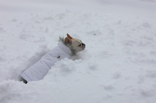 Wait a minute!  I'm not exactly romping here! 4