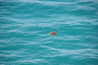 DSC_5115.JPG