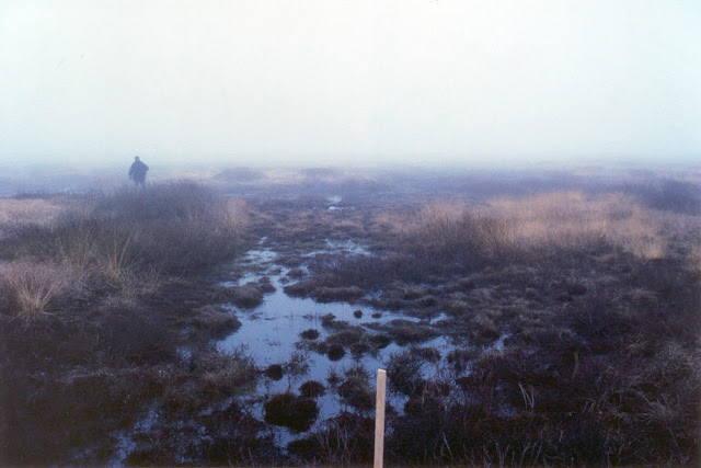 Strandtudse_RASTEOMRÅDE-2_LCA.jpg
