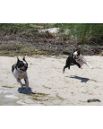 Halen and Bubble: This photo just needs some mariachi music in the background....