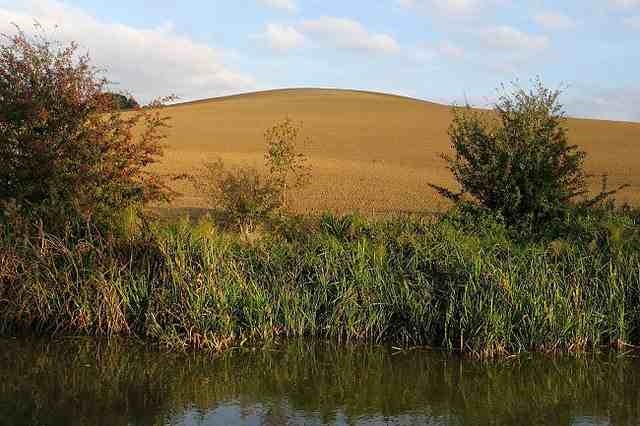 [Downton%2520Hill%255B2%255D.jpg]