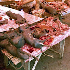 Market - dogs