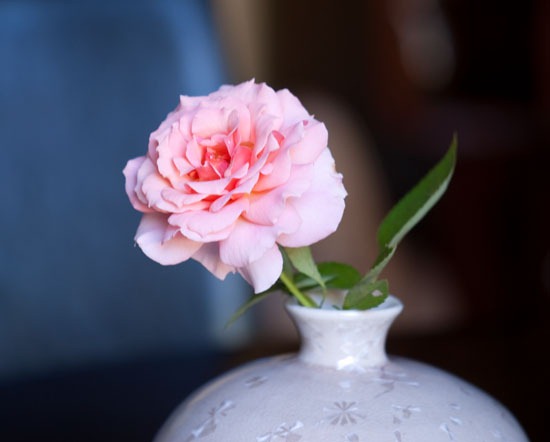[DSC_5743%255B4%255D.jpg]
