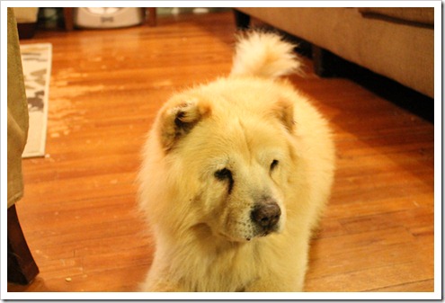 IMG_0133 IMG_0133