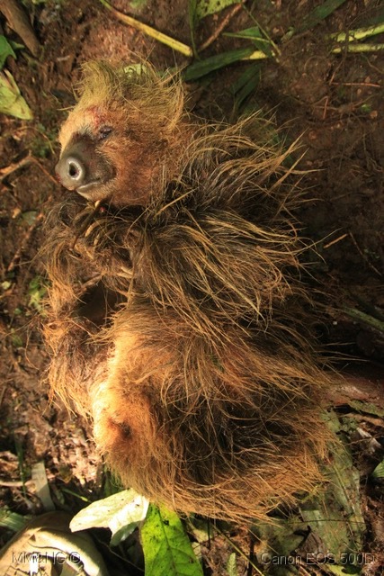 [IMG_2525%255B8%255D.jpg]