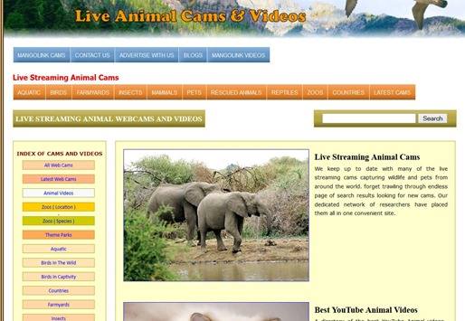 live-animals-cam