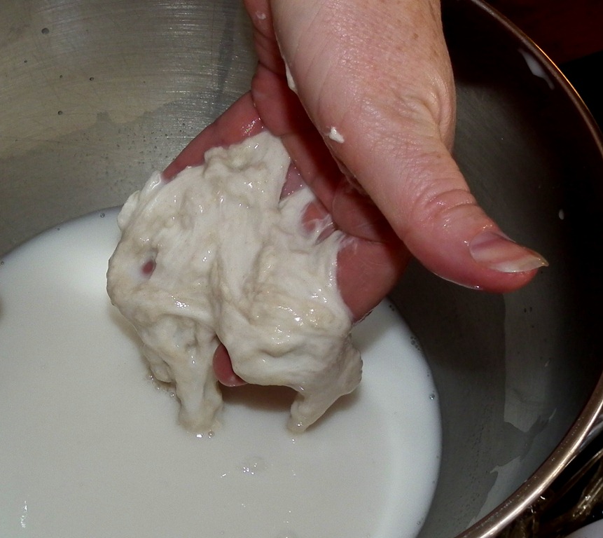 [Biga%2520added%2520to%2520water%255B4%255D.jpg]