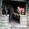 gruppe_hütte_1.jpg