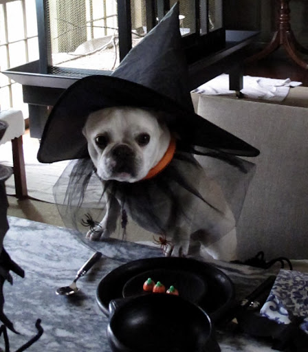 I put on this witch's hat and many spooky things started going on around the farm...