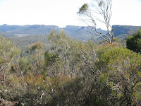 Mount Haughton Photo