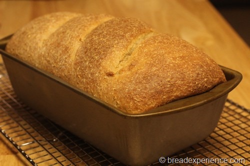 [honey-graham-oatmeal-bread026%255B9%255D.jpg]
