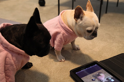 Franny, I didn't realize you were taking pictures of me!  This is supposed to be YOUR photo shoot, not mine!