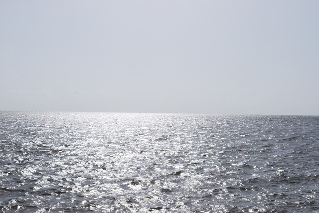 [DSC_5148%255B3%255D.jpg]