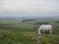 View point