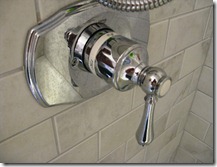 shower dial before