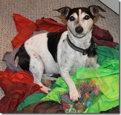 IMG_1462 IMG_1462