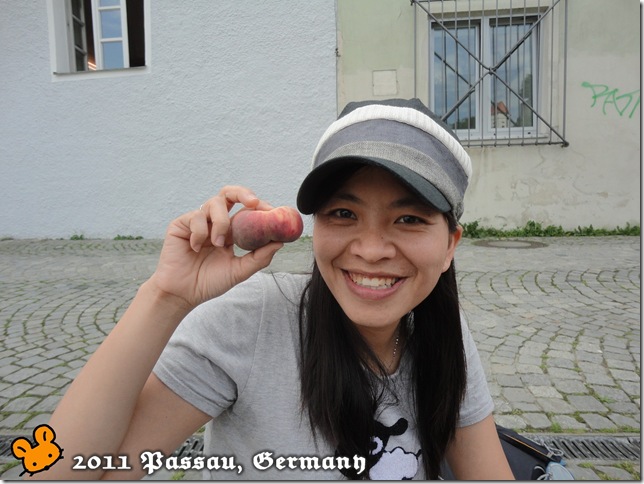 1Passau110713_020 1Passau110713_020