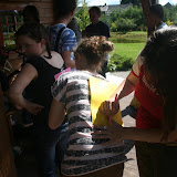 IMG_7530.jpg