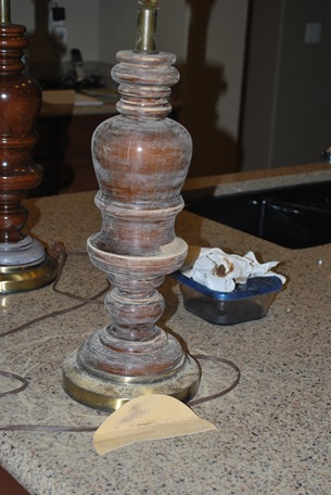 DSC_0049 DSC_0049