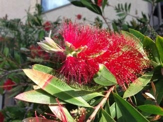 [Route662%255B3%255D.jpg]