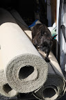 And these rolls must be the new rugs.  Come to think of it, didn't you say the carpets in the Winter House were missing yesterday?