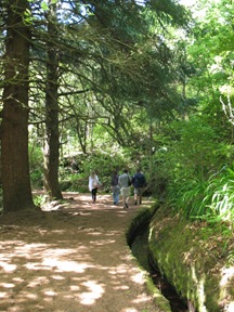 Levada Madère