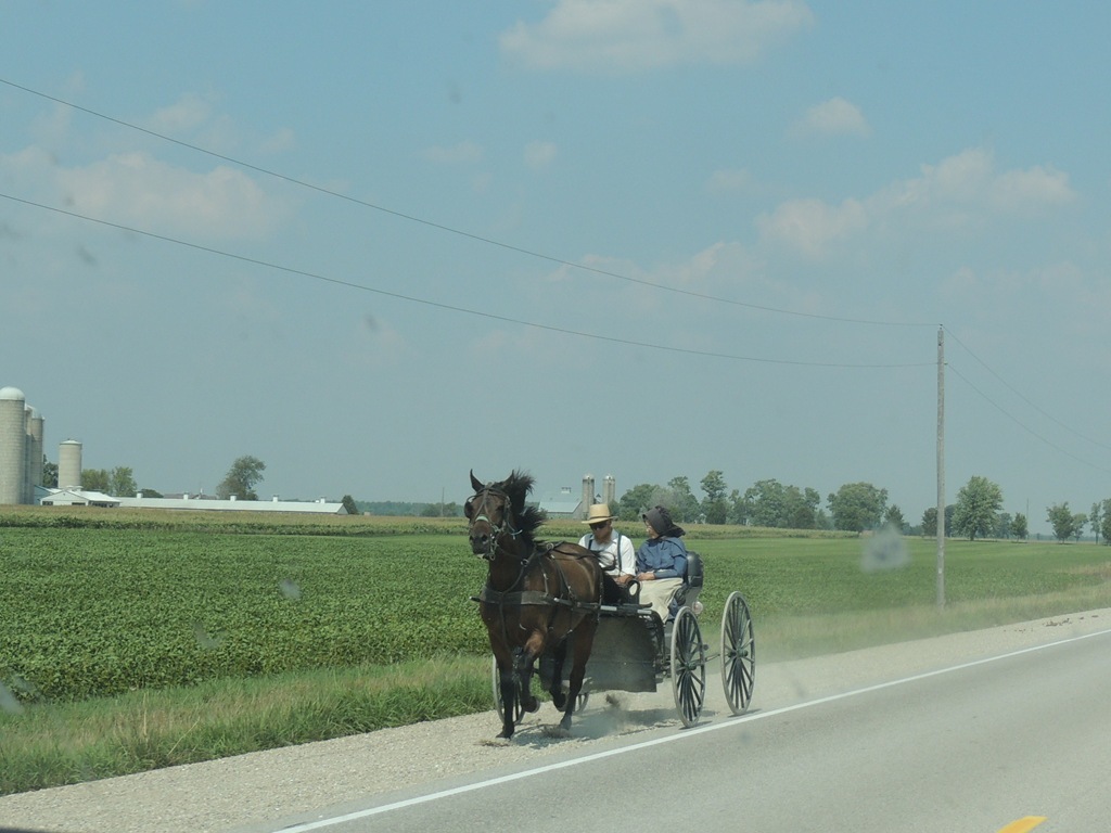 [04.Horse-and-buggy3.jpg]