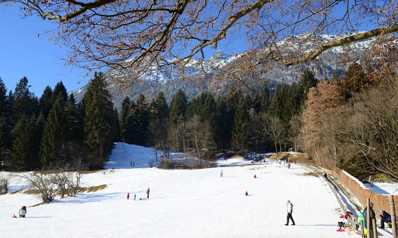 [Edelweiss43.jpg]