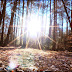 DSCN4383.JPG