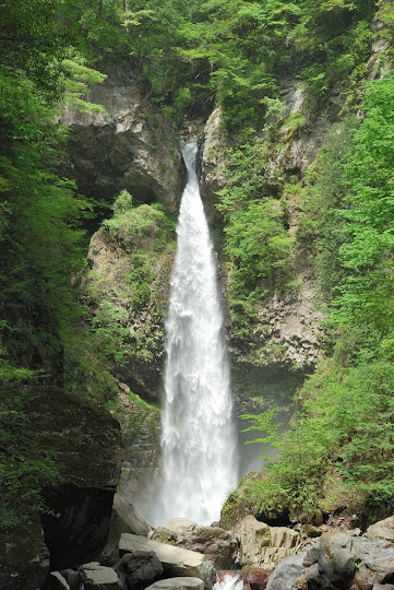 根尾の滝