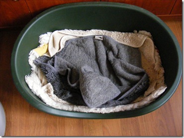empty bed