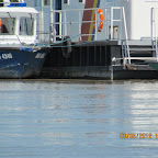IMG_9649.JPG