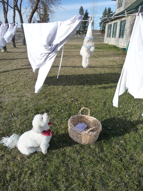 [laundry-0055.jpg]