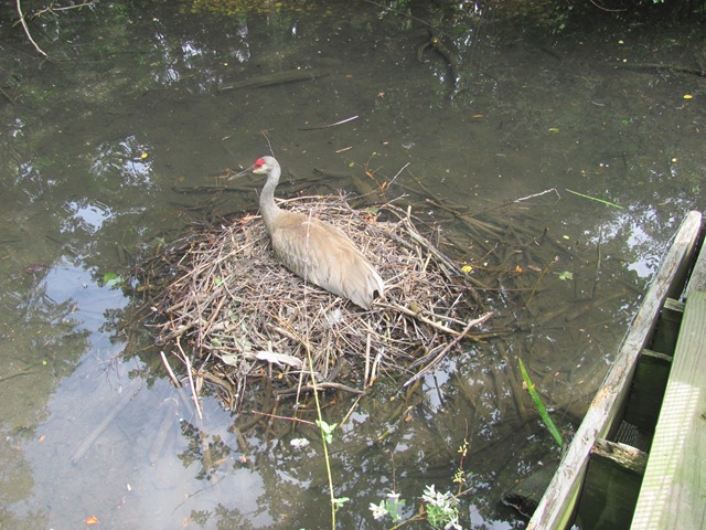 [IMG_8278%255B2%255D.jpg]