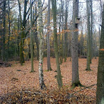 dsc00698.jpg