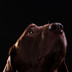 20100122-_MG_8384-Bearbeitet-3.jpg