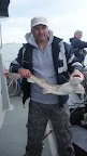 Image211.jpg