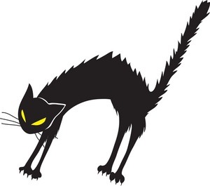 [hissing%2520black%2520cat%255B2%255D.jpg]