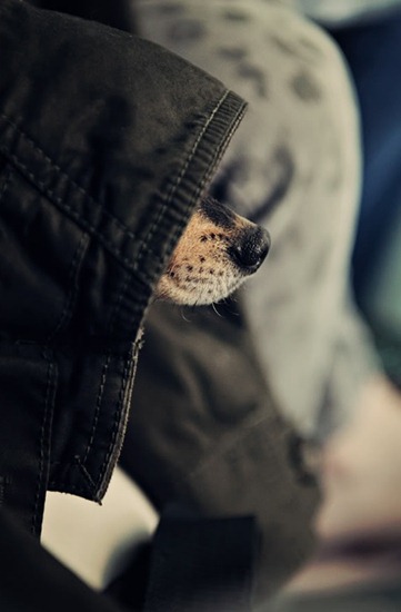 [via%2520brown%2520dress%2520with%2520white%2520dots%2520tumblr%255B8%255D.jpg]