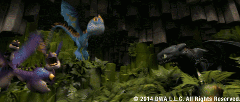 gif11 gif11