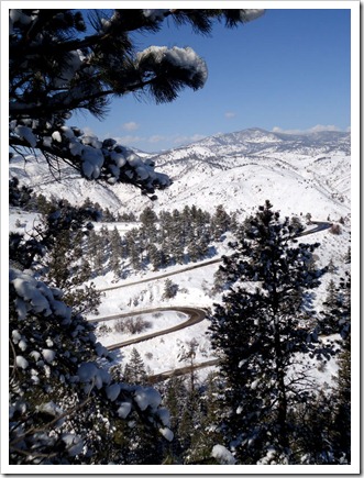 SKArunner_Lookout_Road