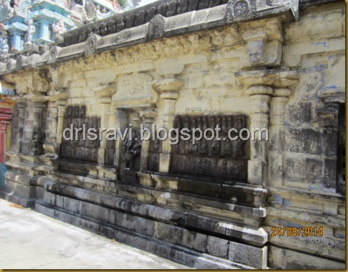 IMG_0055 IMG_0055